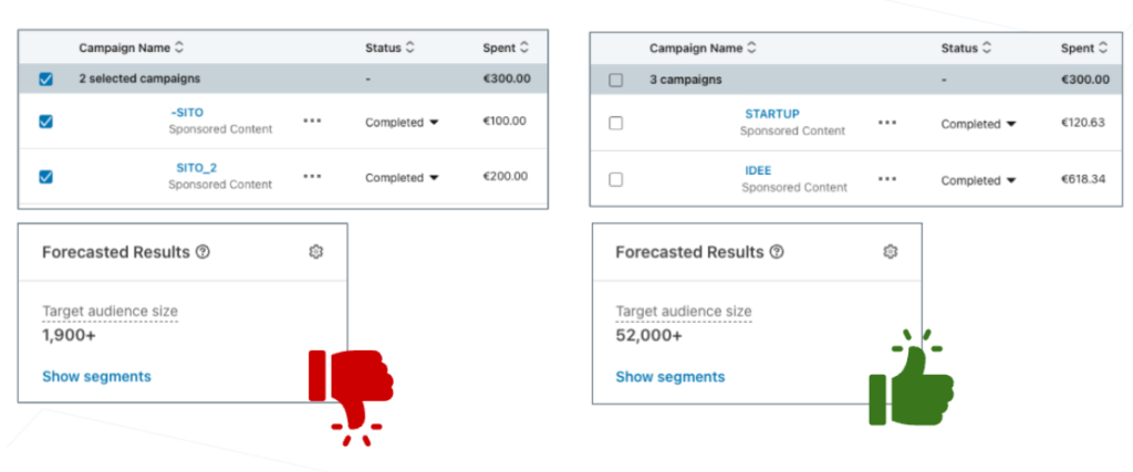 Linkedin Ads Audit: esempi di profilazione e numeriche del target